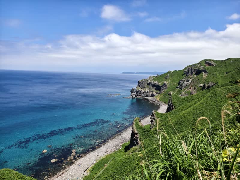 美瑛夏日丘陵